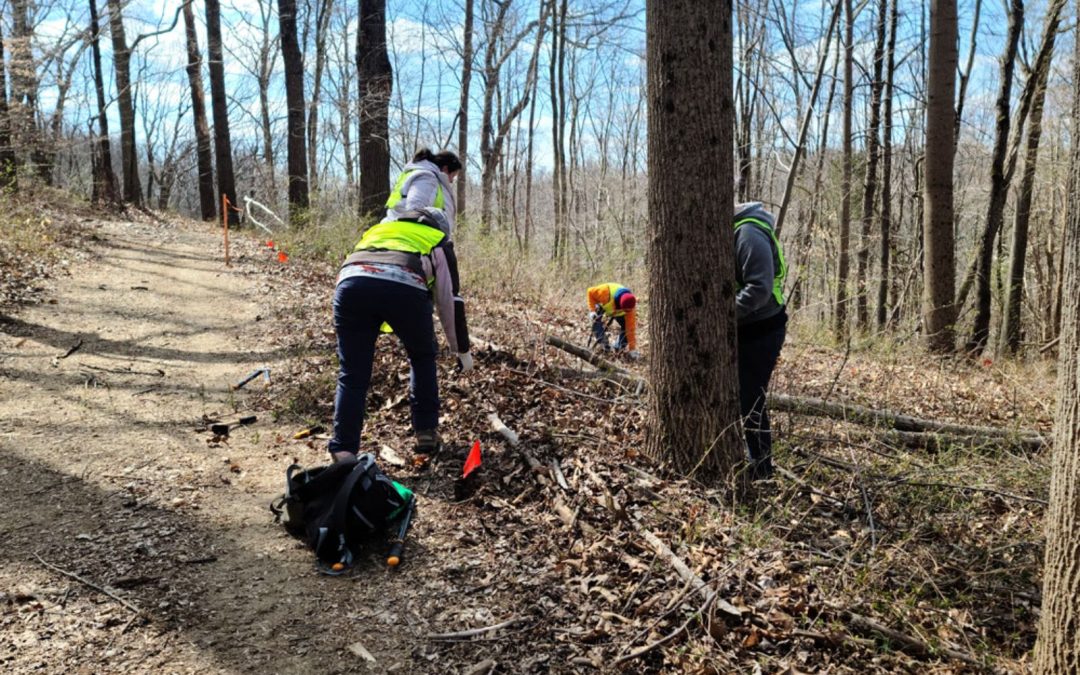 Thank you to Patapsco Heritage Greenway in helping to clear invasive plants from the property