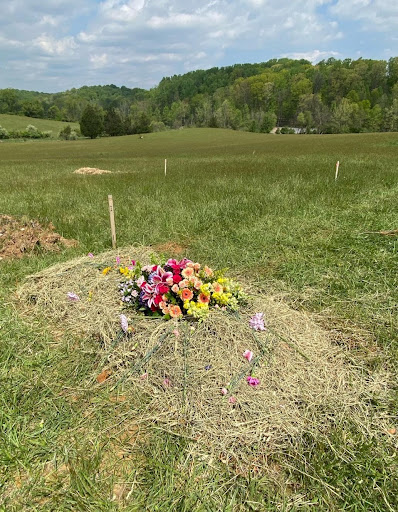 A bunch of colorful flowers on top of a green burial site