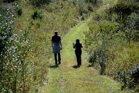 A Beautiful Location For Your Loved Ones Cremated Remains