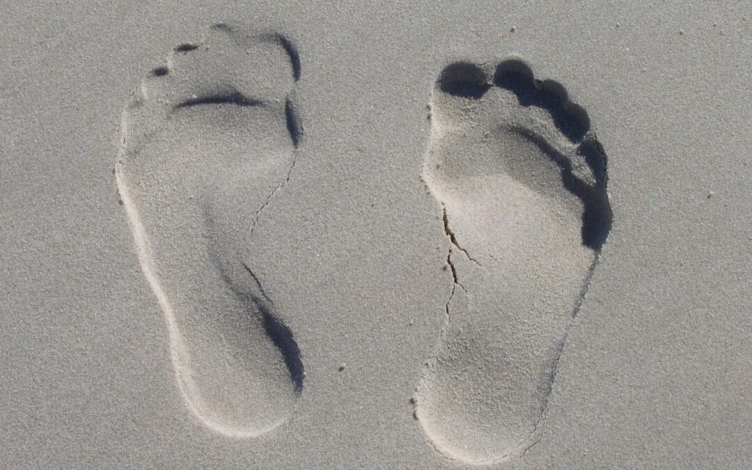 Carbon Footprint of Cremation