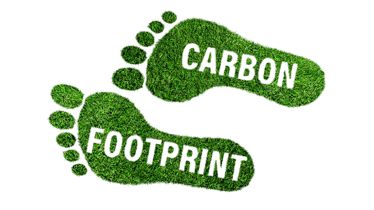 Carbon Footprint of Cremation vs Traditional Burial Methods
