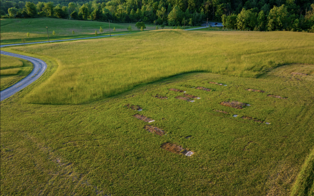 Natural Burial Protects Cemetery Workers from Hazardous Toxins