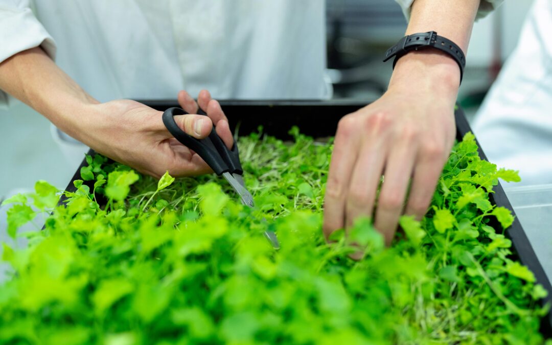 10 Simple Changes for a Sustainable Lifestyle