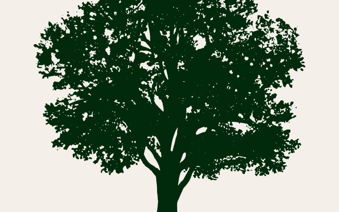 Arboretum and Natural Burial: A Harmonious Relationship