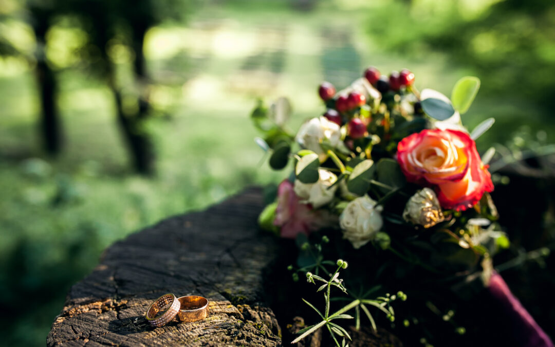 Planting Trees and Memories Through Natural Burial Grounds