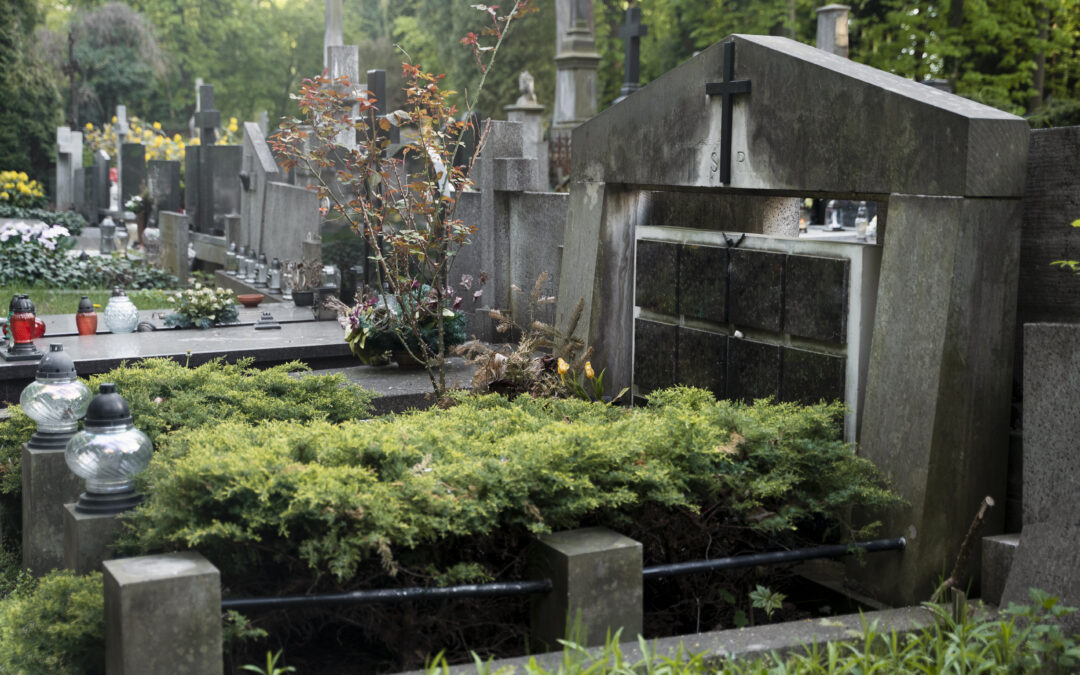 A Day in the Life of a Green Burial Caretaker