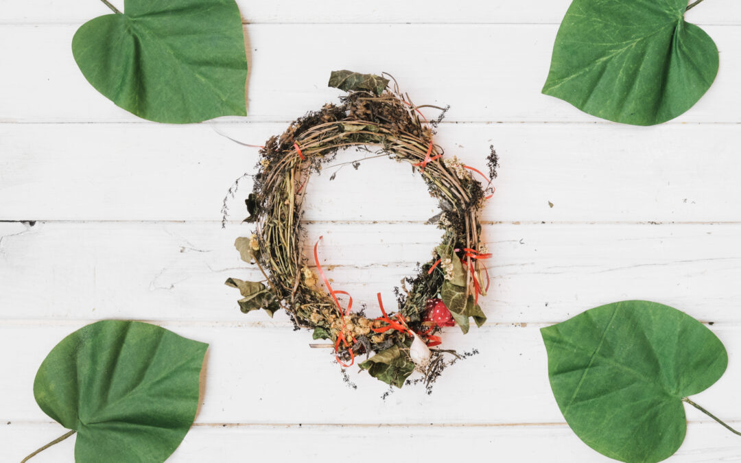 Finding Serenity in Nature’s Cycle at Serenity Ridge 