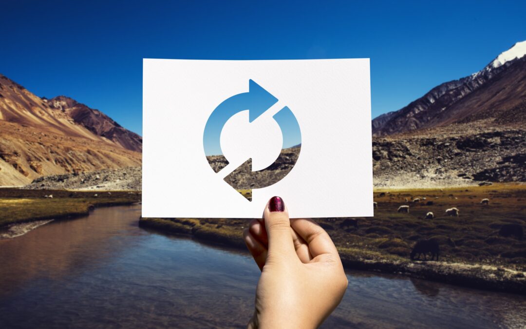 Embracing Renewal and Growth in the New Year