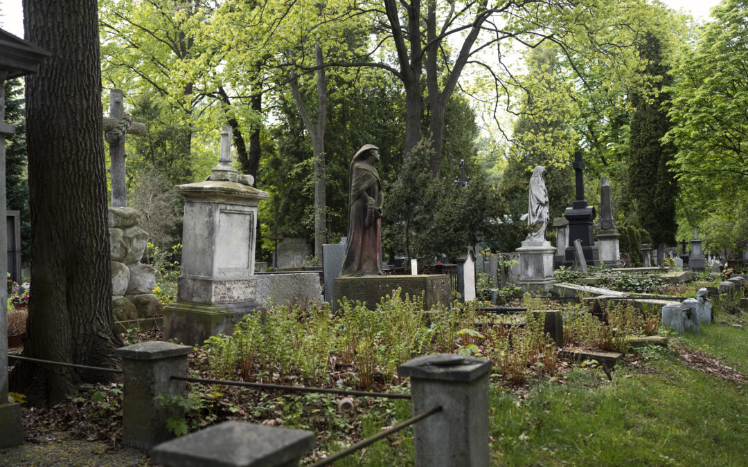 Where to Have a Green Burial in Maryland and What to Expect