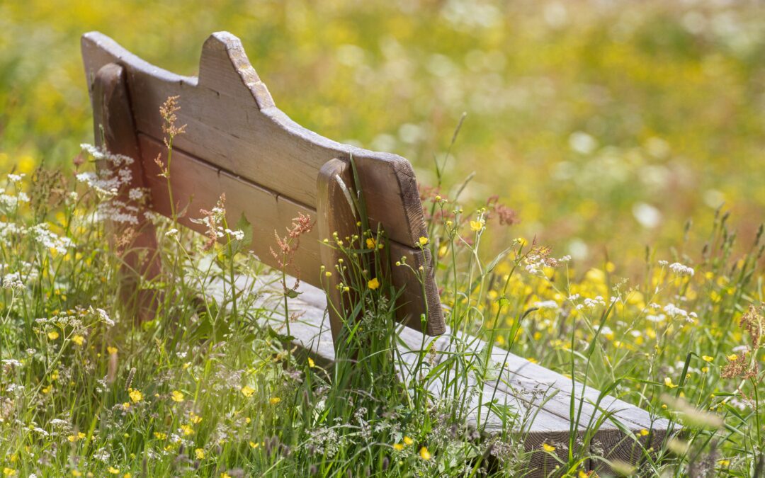 Best Alternatives to Cremation and Their Environmental Impact
