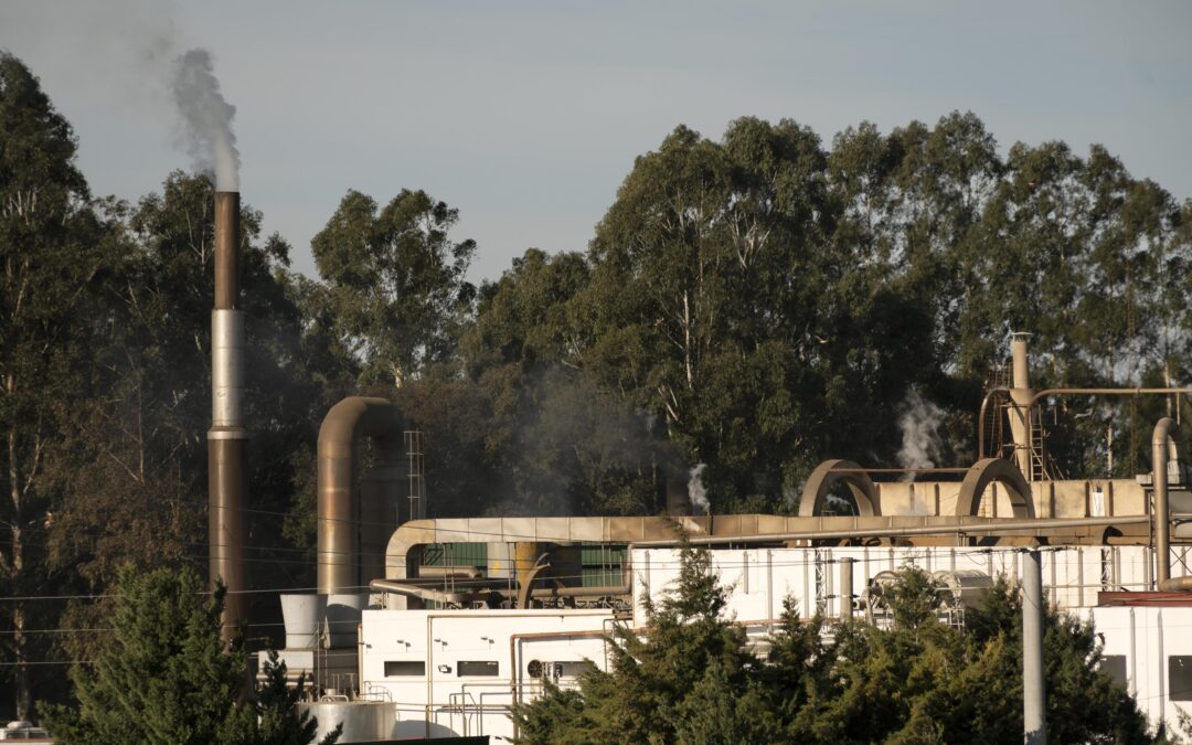Is Cremation Really a Sustainable Option for the Planet?