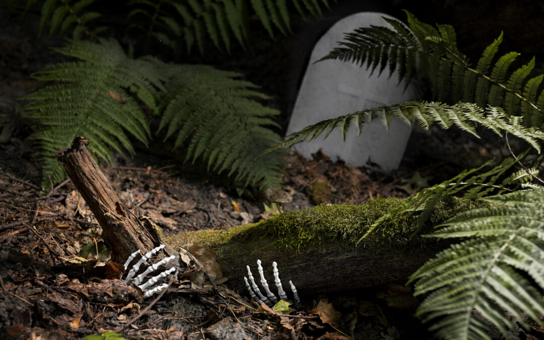 How Our Ancestors Did It: The History of Natural Burial in America