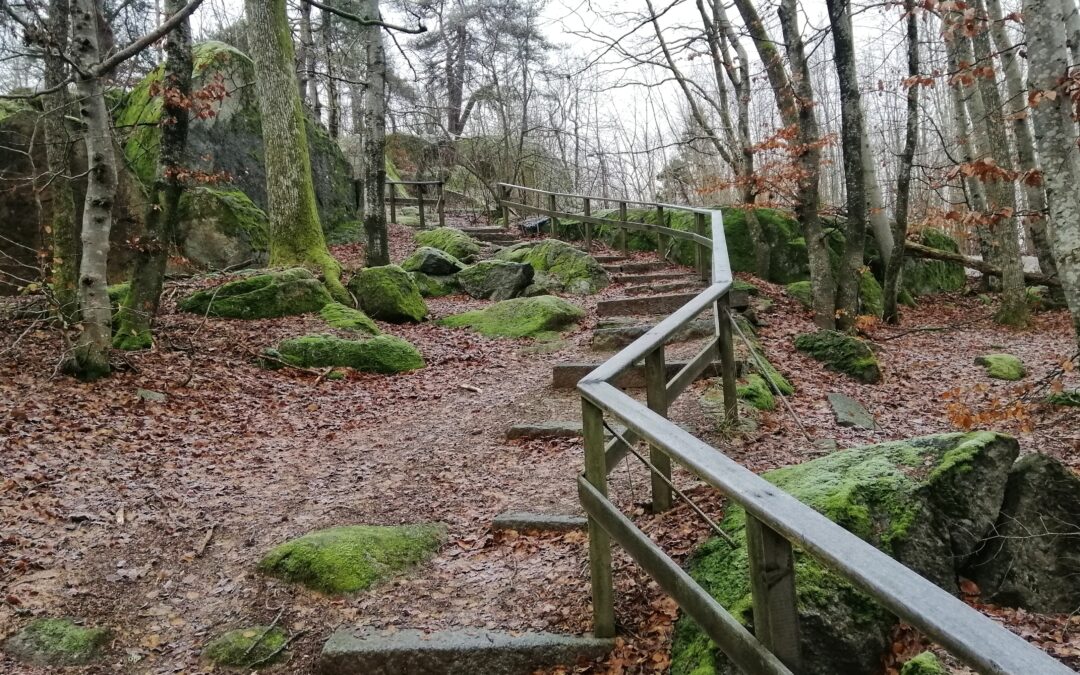 Eco Burials in Maryland That Honor Nature and Legacy