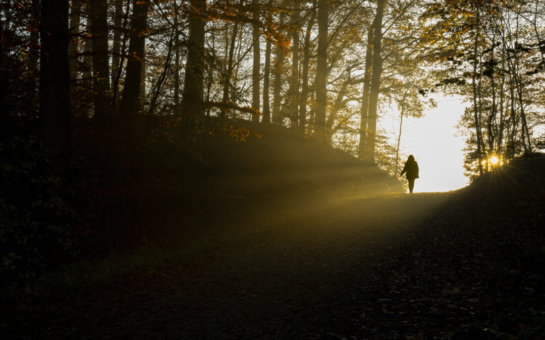 Planning a Peaceful Summer Burial at Serenity Ridge