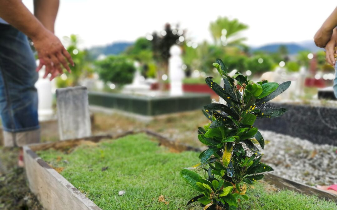 natural burial ceremony options